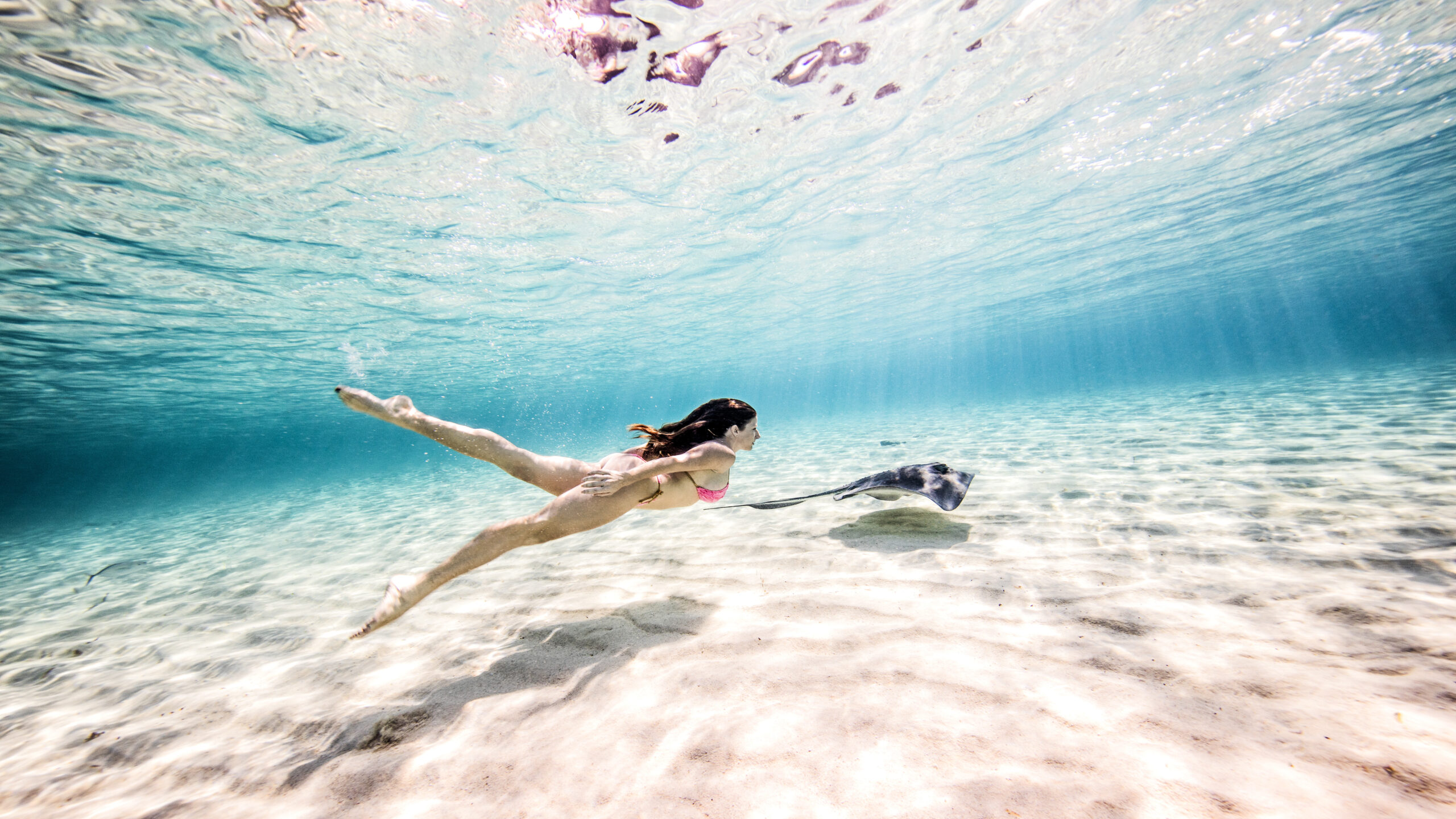 Stingray City, Antigua